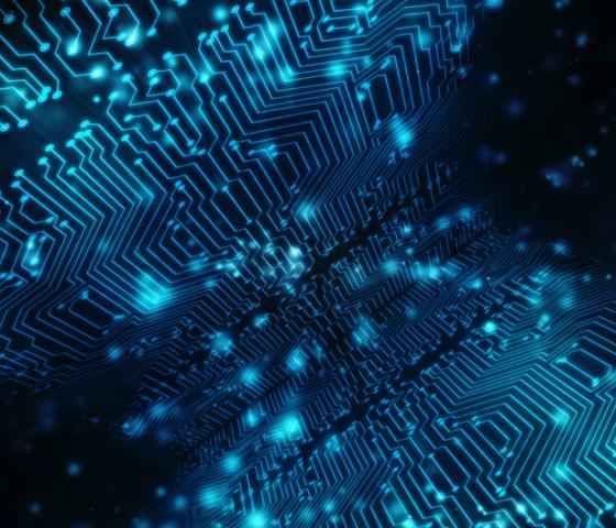 Digital network