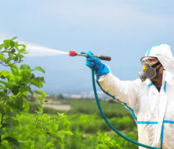 Chemical spraying
