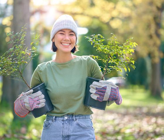 tree planting