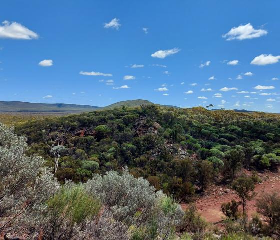 view of the landscape