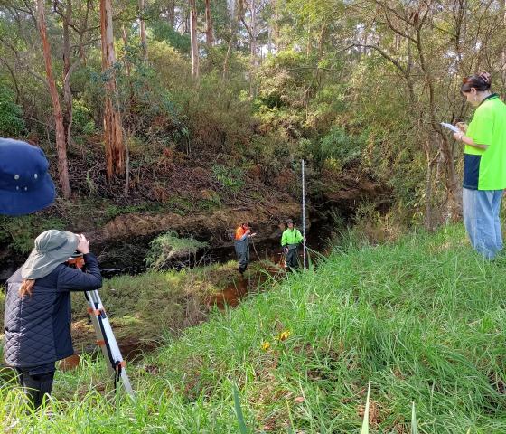 Workers in a conservation area