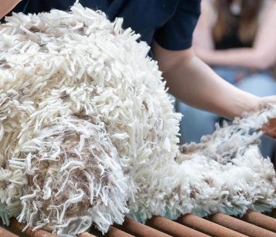 Wool handling 