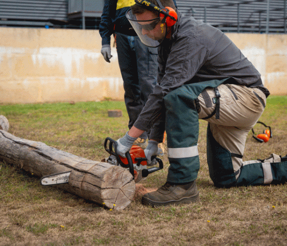Chainsaw