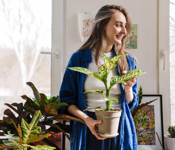 Young female holing an indoor plant in home